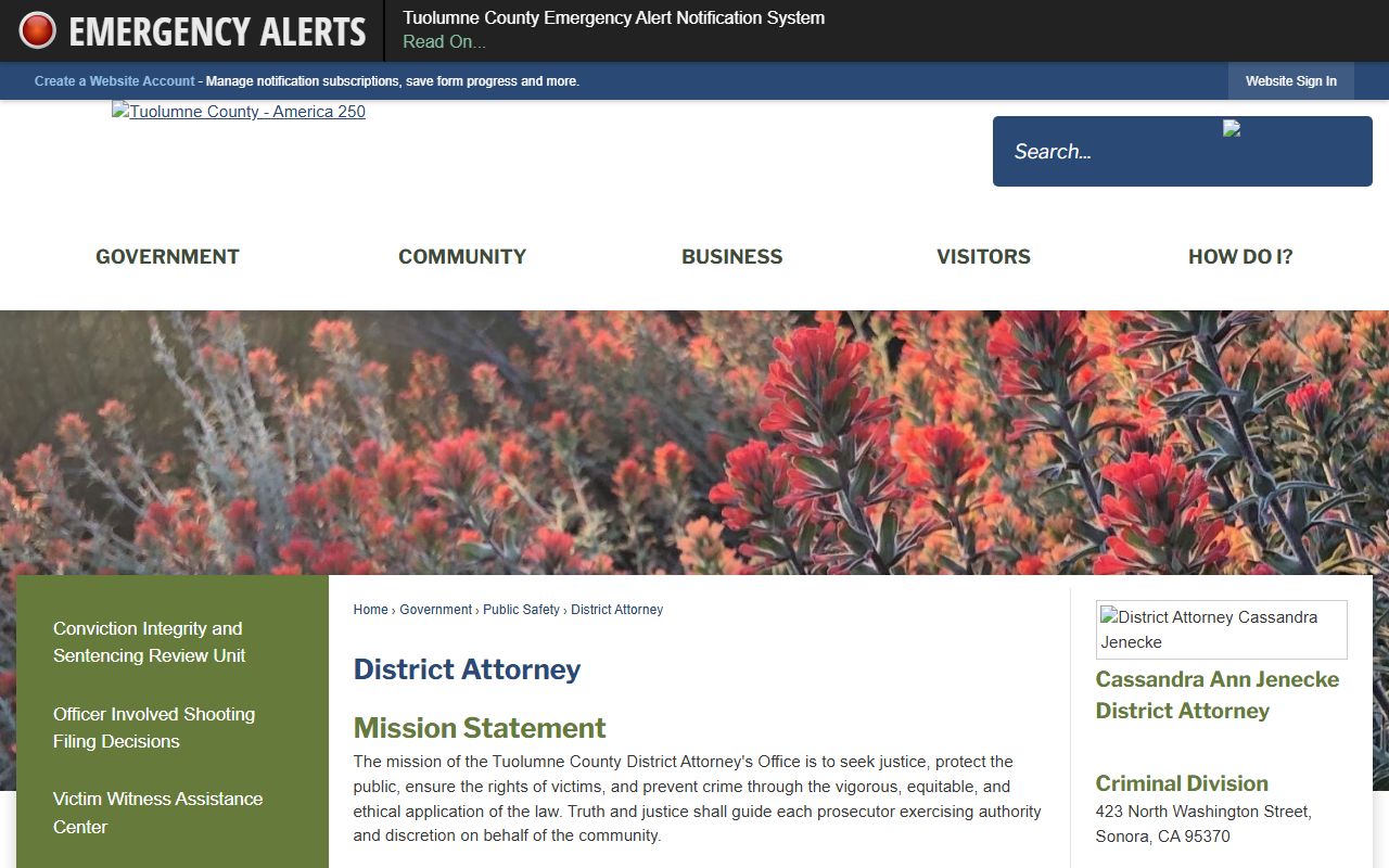 Tuolumne County court records after jail arrest District Attorney page