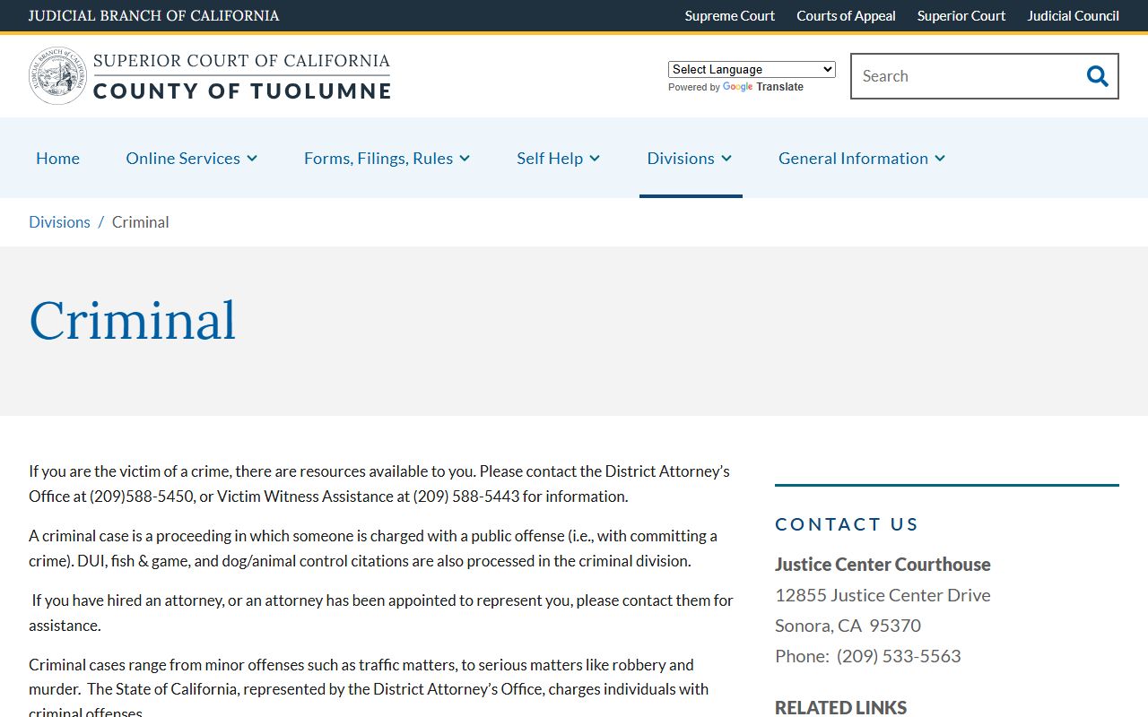 Tuolumne County court records after jail arrest criminal division page